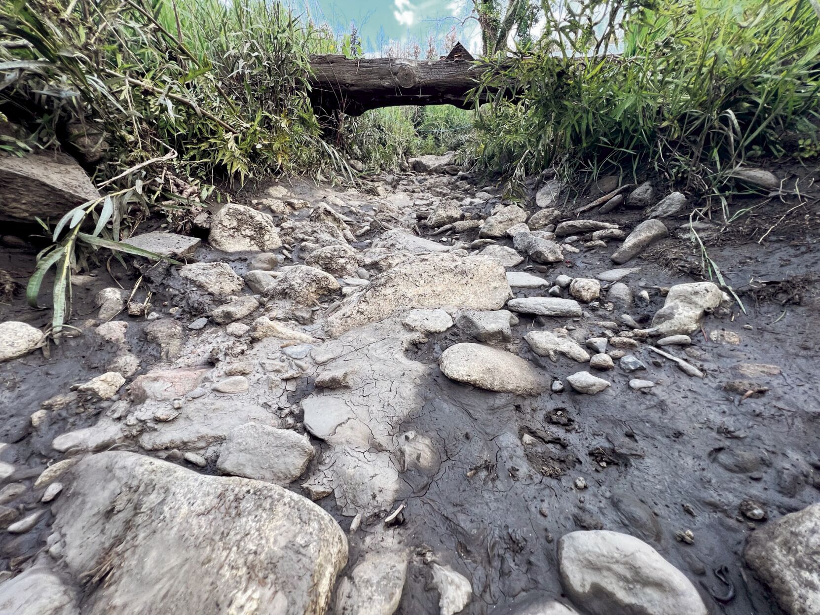 Acequia